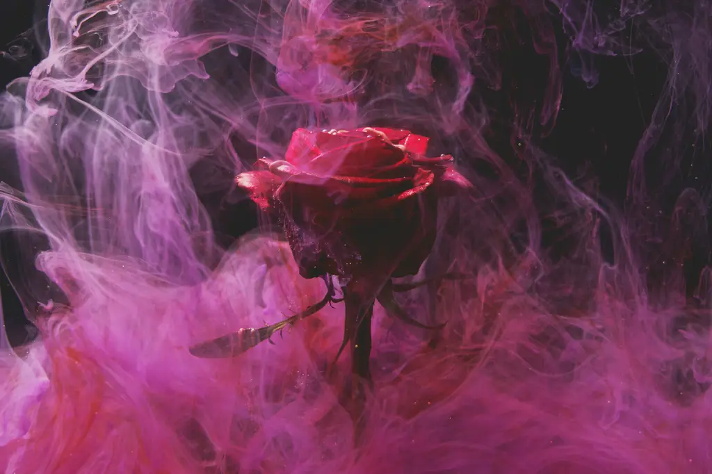 暈船症的感情版：小心暈船後遺症！